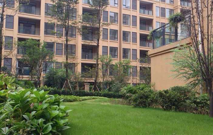 至尊国际 – 至尊服务,至尊享受