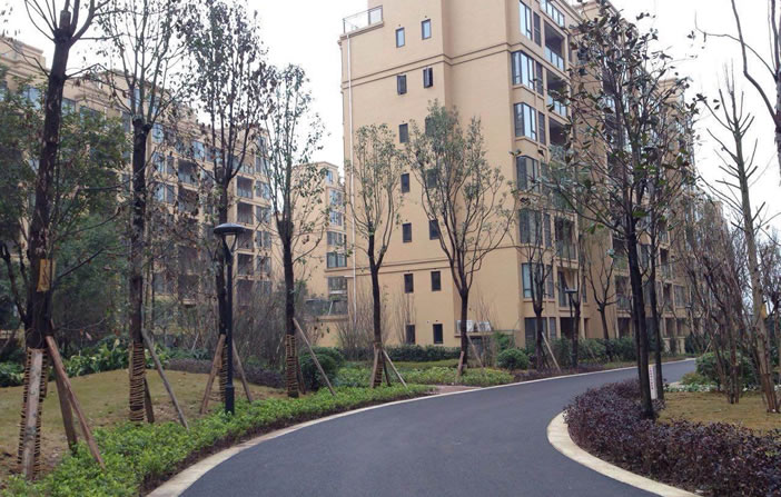 至尊国际 – 至尊服务,至尊享受