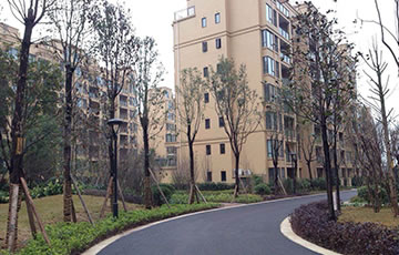 至尊国际 – 至尊服务,至尊享受